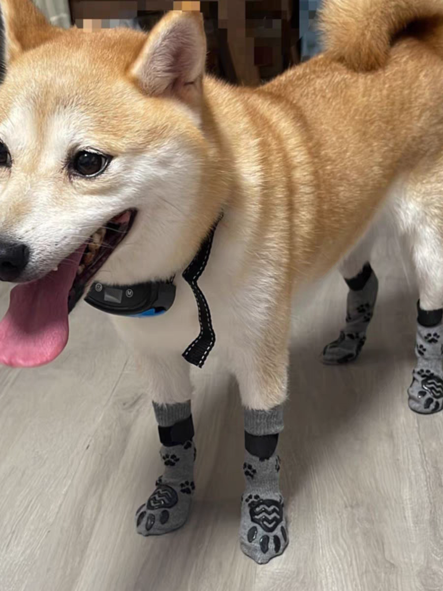 Spring and Summer Outing Anti-Drop Medium Large Dog Golden Retriever Socks