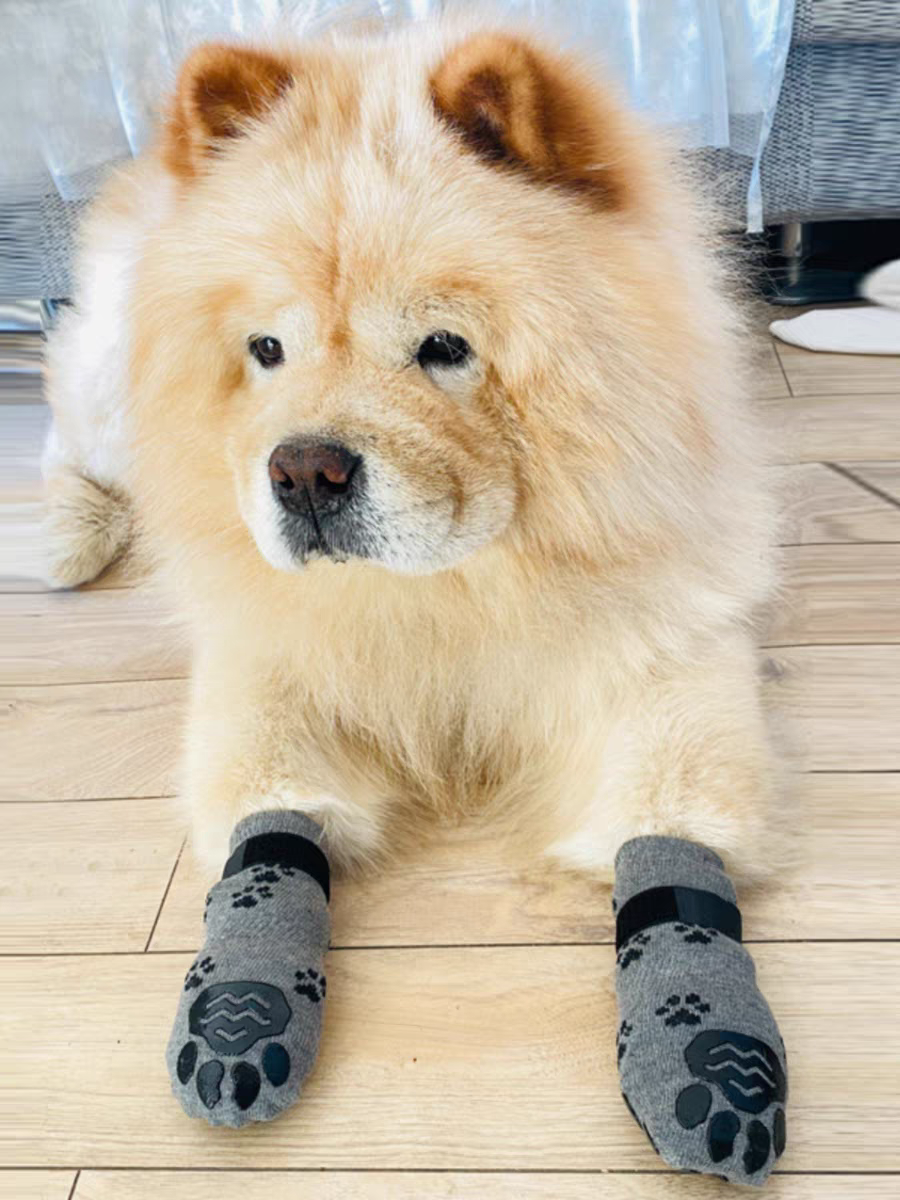 Spring and Summer Outing Anti-Drop Medium Large Dog Golden Retriever Socks