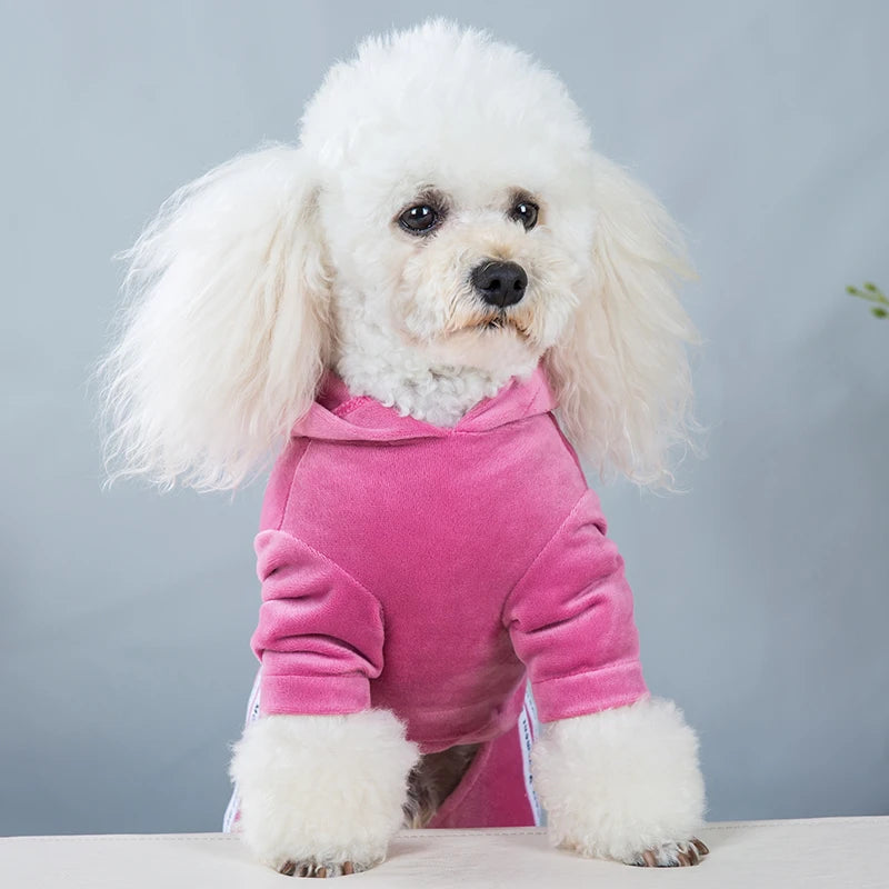 Dog Clothes for Small Dogs Cat Warm Winter Pet Clothing Soft Velvet Overalls Puppy Girl Hoodies Jumpsuit Sweatshirt Chihuahua