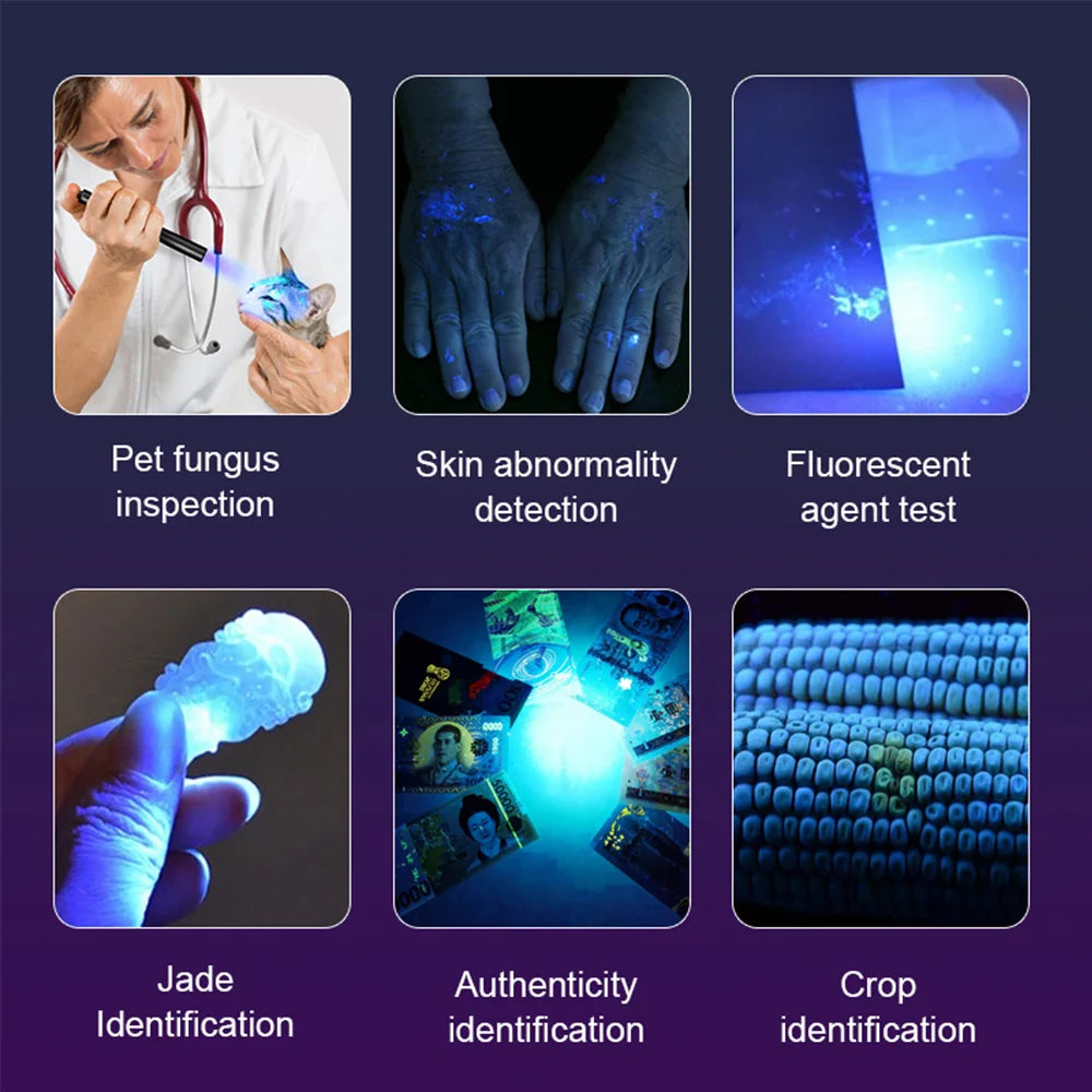 3W Mini UV Flashlight BlackLight Handheld 365nm Ultraviolet Torch UV Lamp Pet Urine Banknote Resin Curing Detector By AA Battery