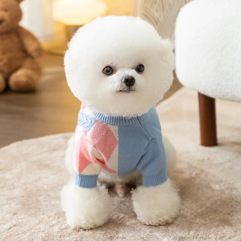 Thick Warm Korean Style Dog Sweater Blue Purple Pocket and Bear Pattern Pet Cat Dog Clothes for Autumn and Winter