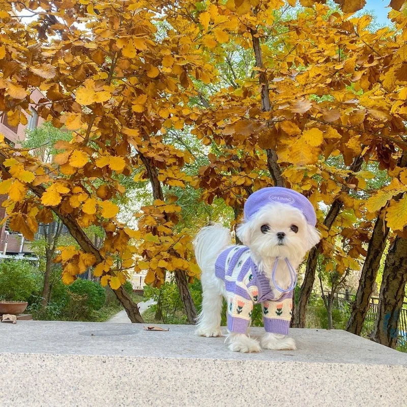 Flower Knitted Sweater Pet Dog Clothes Cardigan Purple Dogs Clothing Cat Warm Print Cute Cotton Autumn Winter Girl Chihuahua