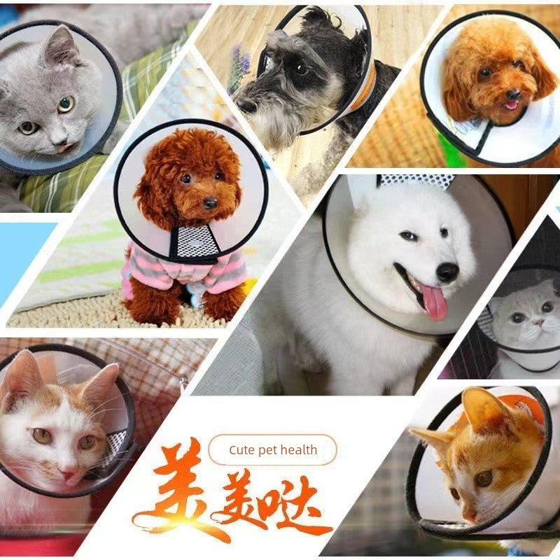 Head Cover Sterilization Collar Elizabeth Anti-Bite Cat